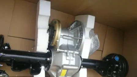 48V 5kw Motor Rear Axle with Disc Brake Drum Brake for Lvtong Icon Advanced EV