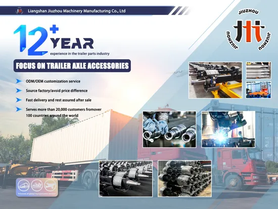 Anton Cargo Transport Trailer, New Rear Axle of Car Car Carrier, Low Flat